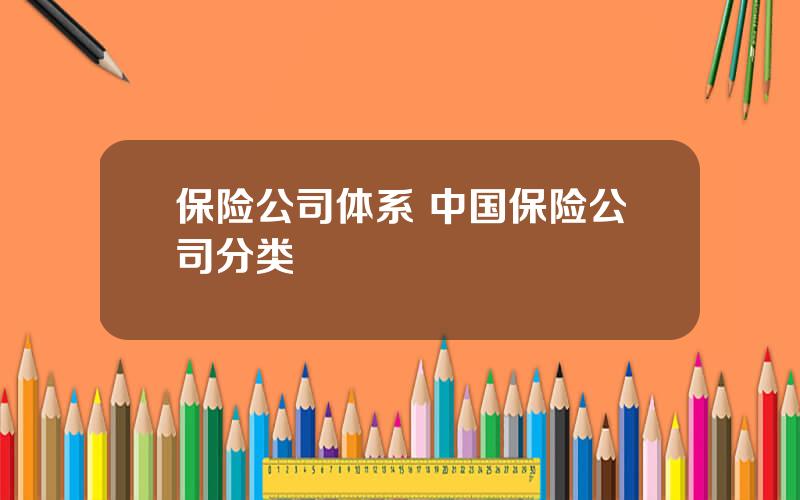 保险公司体系 中国保险公司分类
